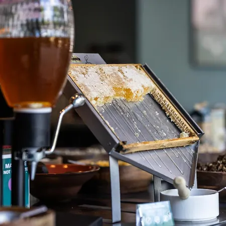 Hotel Hotel Kolding 4*