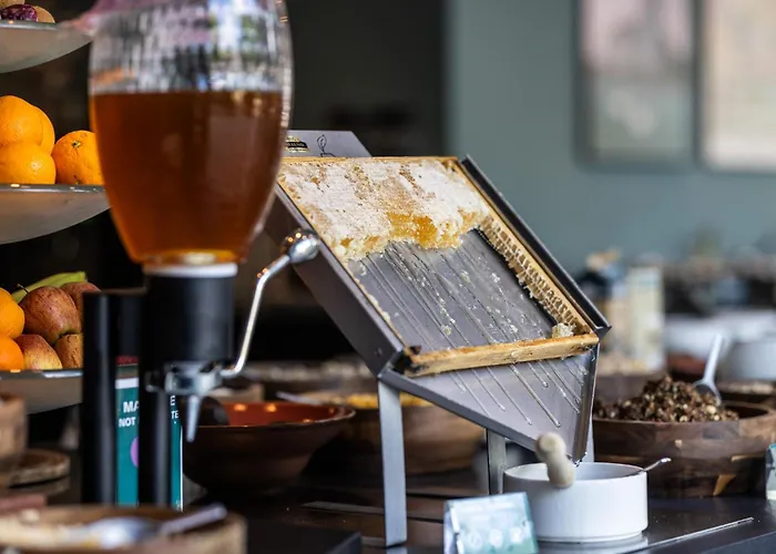 Hotel Hotel Kolding 4*